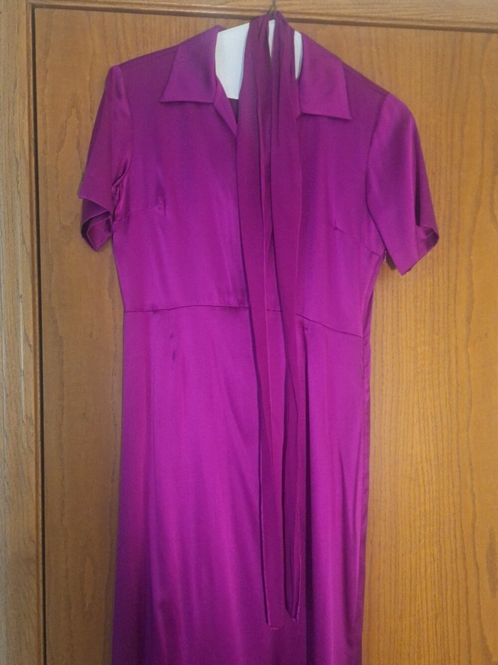 Kathy Kemp Anna Silk Violet Dress with Detachable Belt